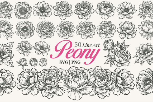 Download Peony Flower Line Art Clipart - Line art clipart Collection
